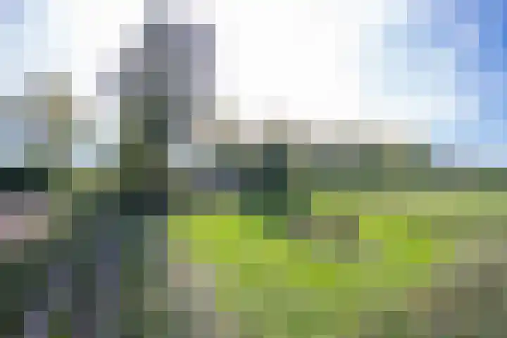 Groenestraat 28 Lienden thumbnail 29