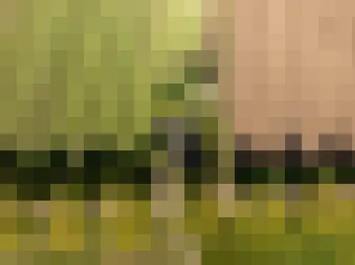 Groenestraat 28 Lienden thumbnail 4