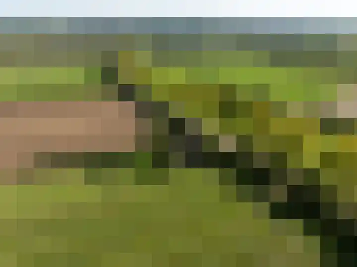 Groenestraat 28 Lienden thumbnail 7