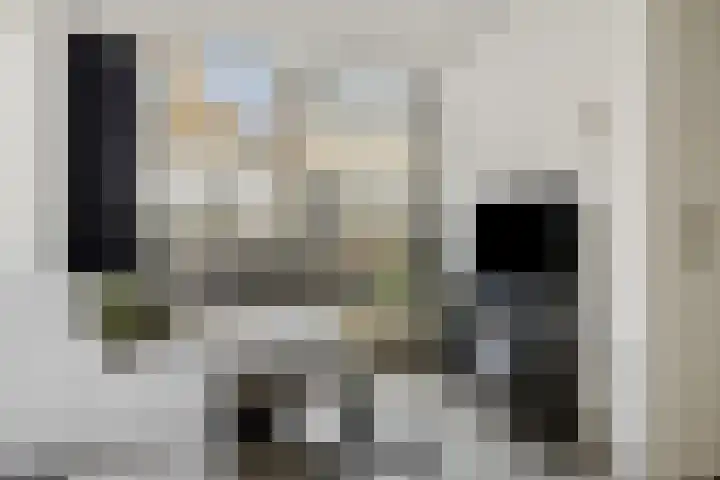 Groenestraat 280 Kampen thumbnail 4