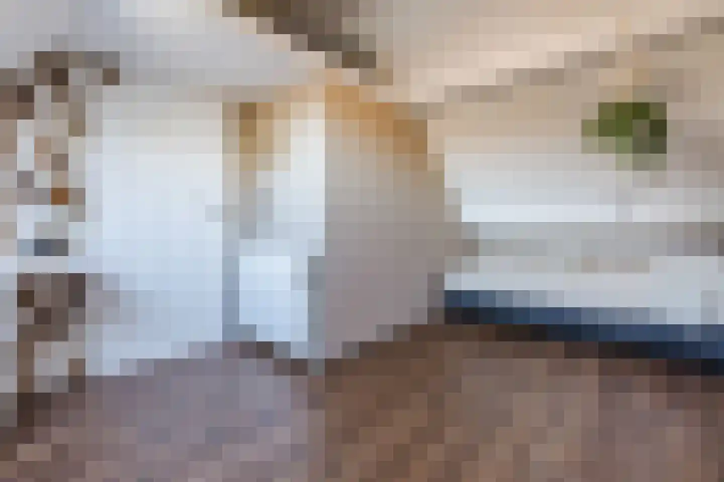 Groenestraat 29 Bemmel thumbnail 30