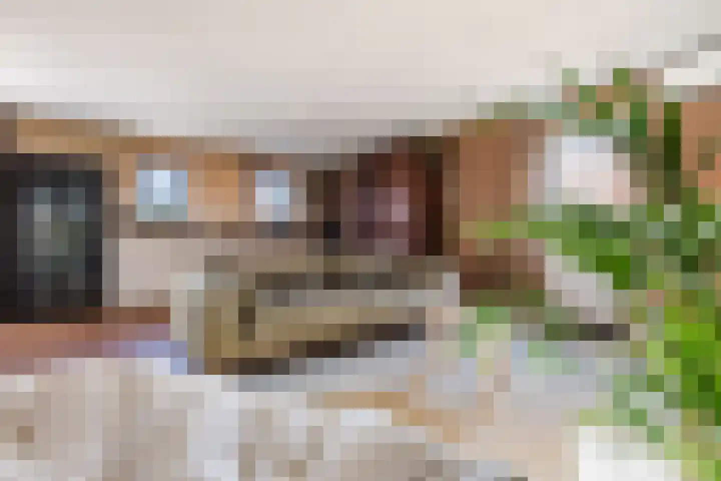 Groenestraat 29 Bemmel thumbnail 36