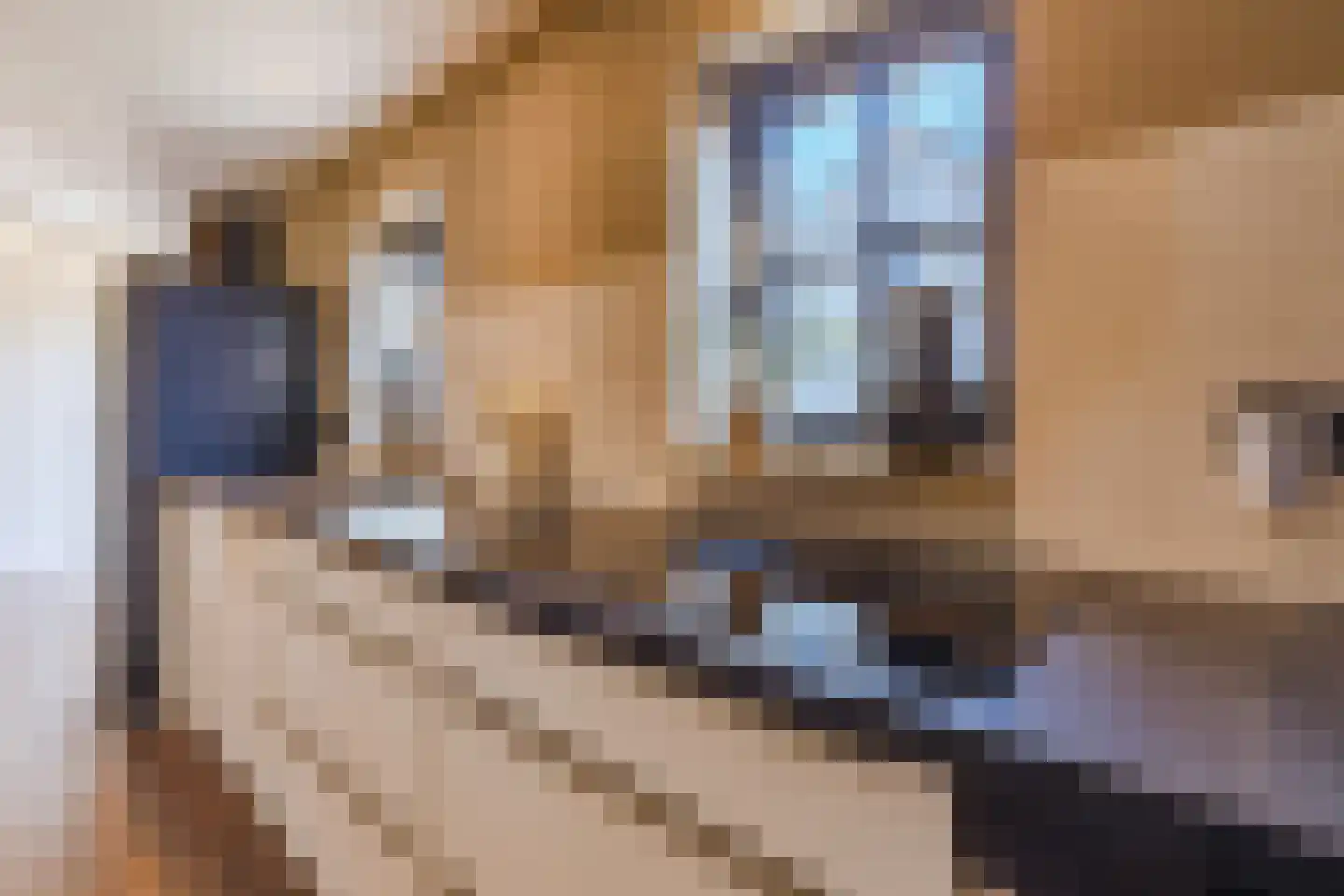Groenestraat 29 Bemmel thumbnail 38