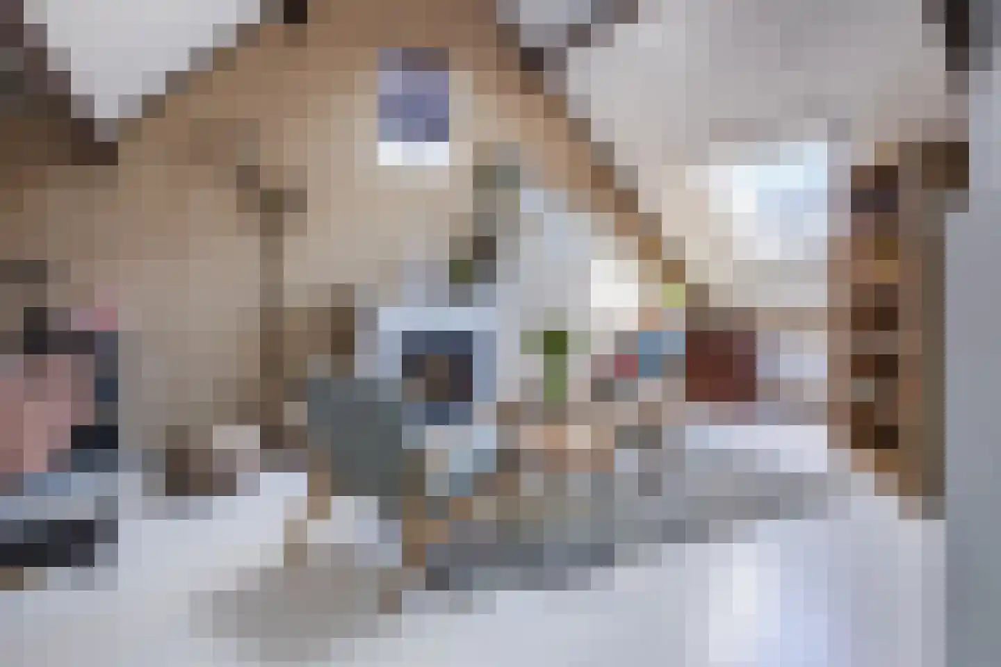 Groenestraat 29 Bemmel thumbnail 56