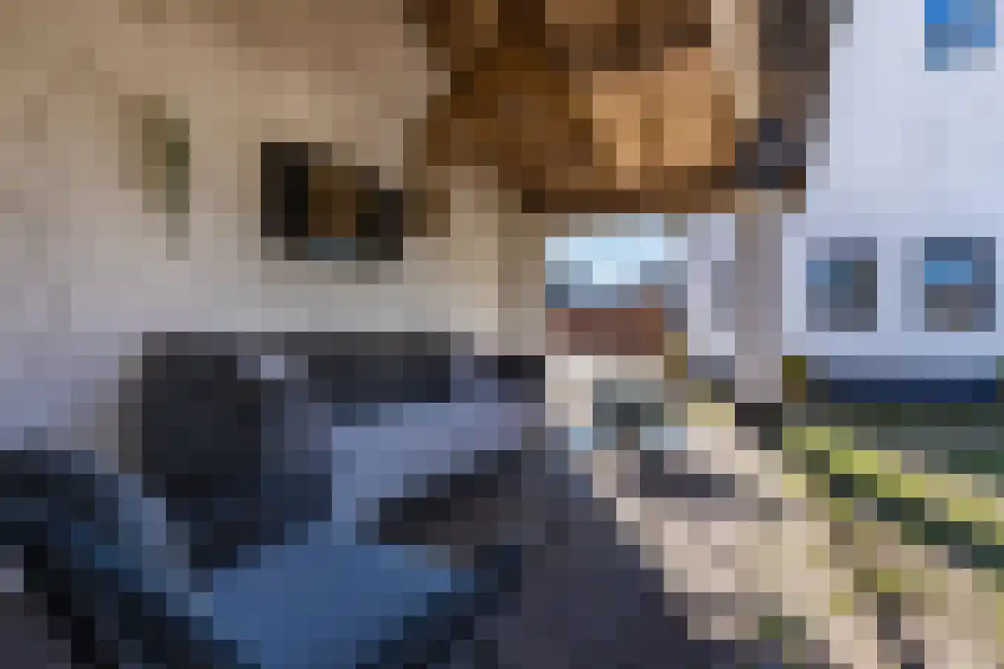 Groenestraat 29 Bemmel thumbnail 67