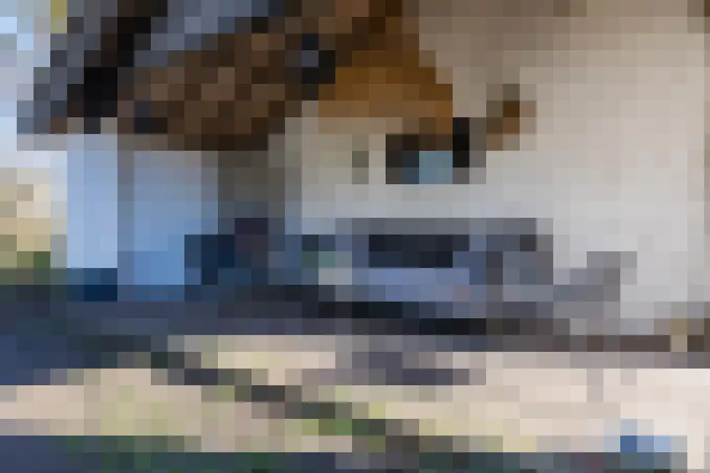 Groenestraat 29 Bemmel thumbnail 68