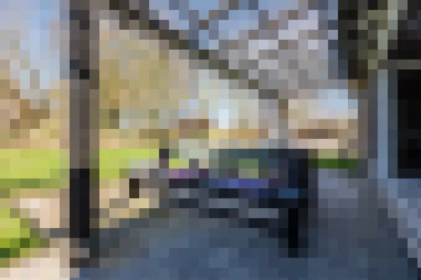 Groenestraat 29 Bemmel thumbnail 75