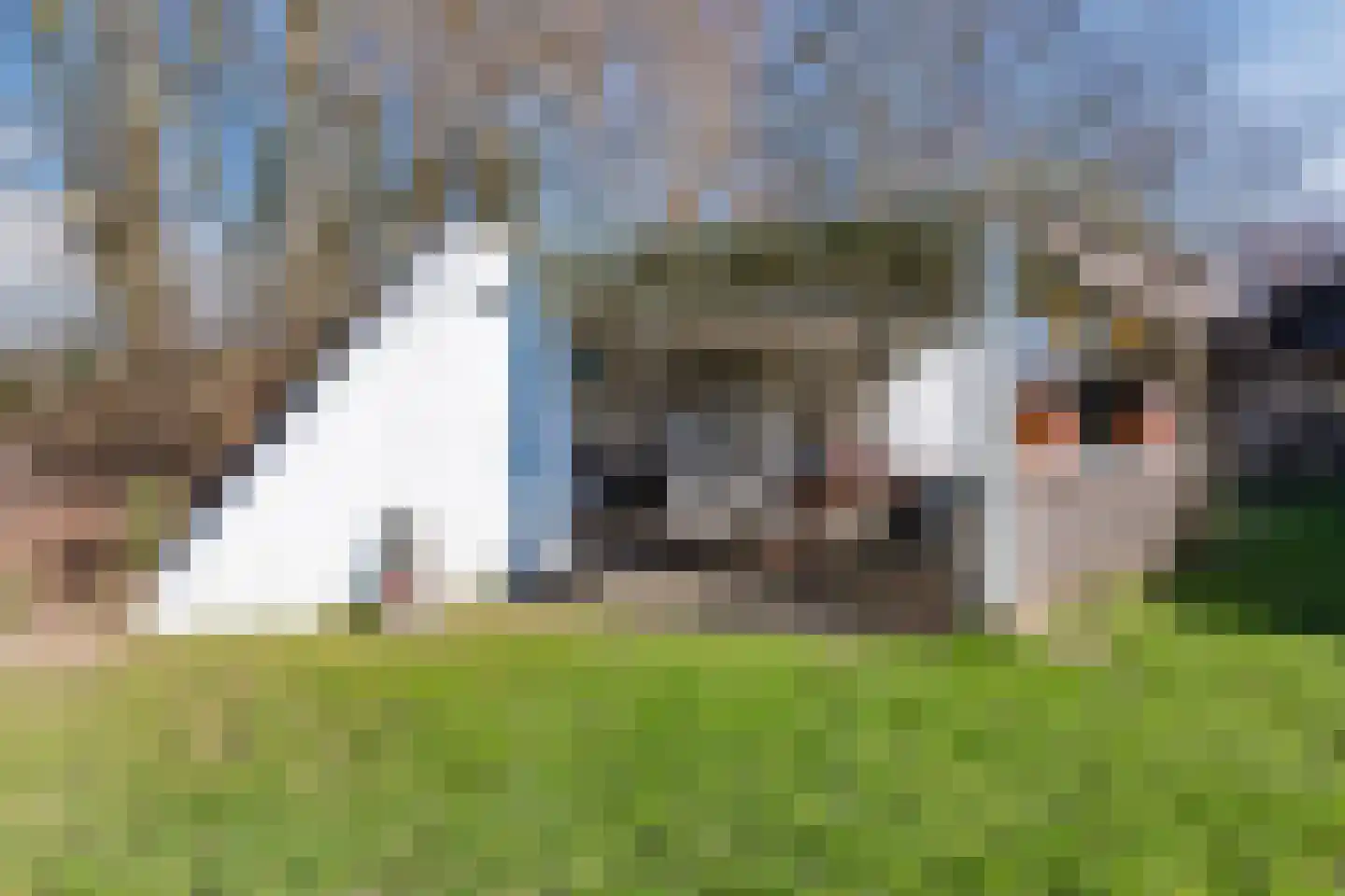 Groenestraat 29 Bemmel thumbnail 81