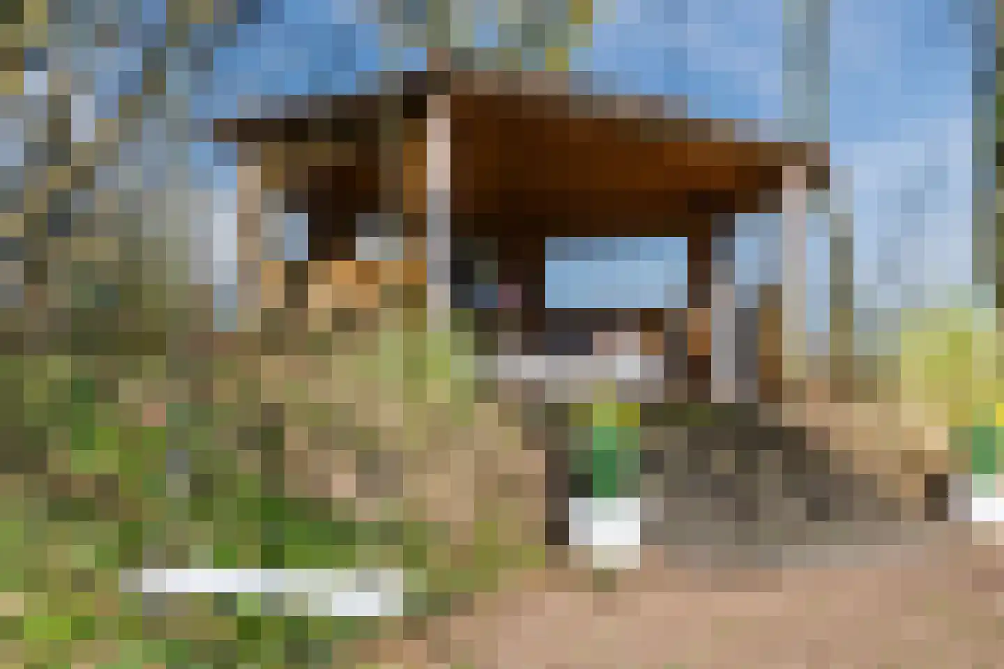 Groenestraat 29 Bemmel thumbnail 87