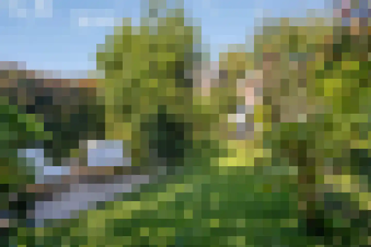 Groenestraat 297 Nijmegen thumbnail 38