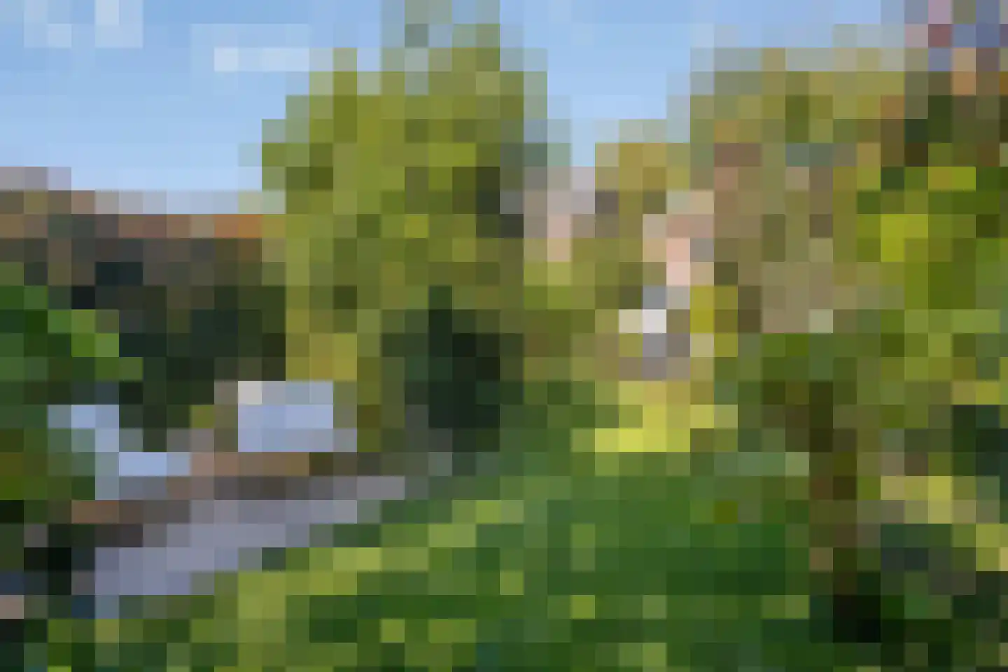 Groenestraat 297 Nijmegen thumbnail 6