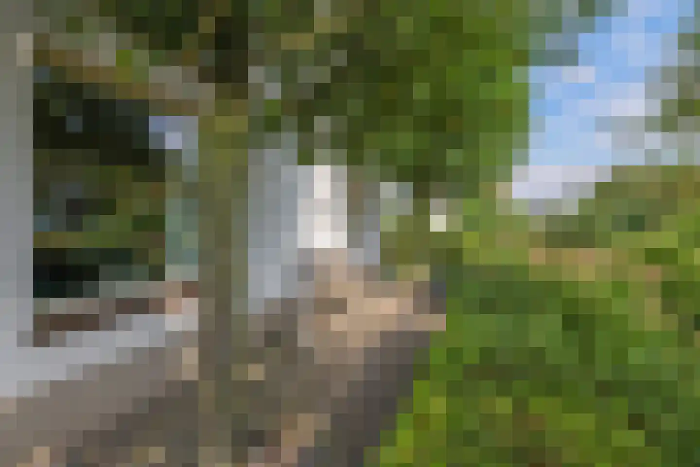 Groenestraat 3 Gendt thumbnail 12