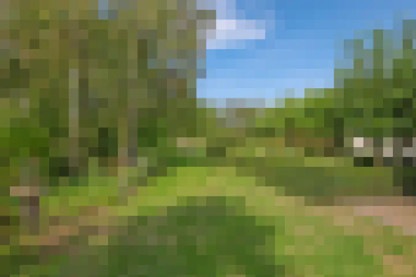 Groenestraat 3 Gendt thumbnail 16