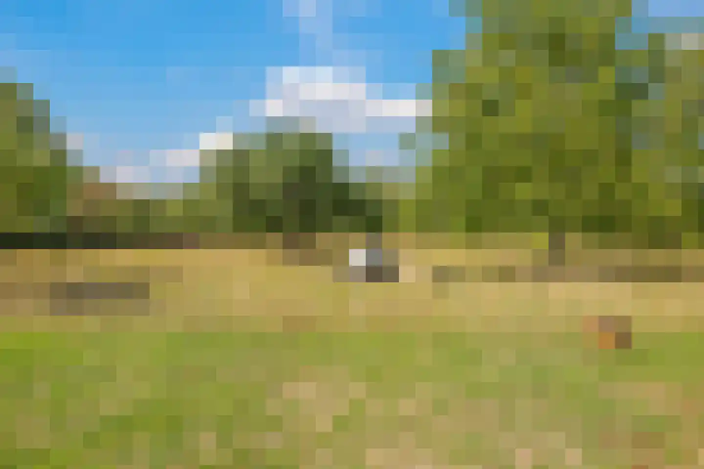 Groenestraat 3 Gendt thumbnail 34