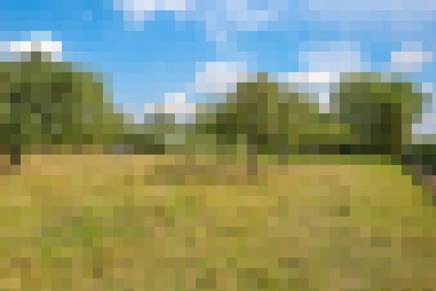 Groenestraat 3 Gendt thumbnail 35