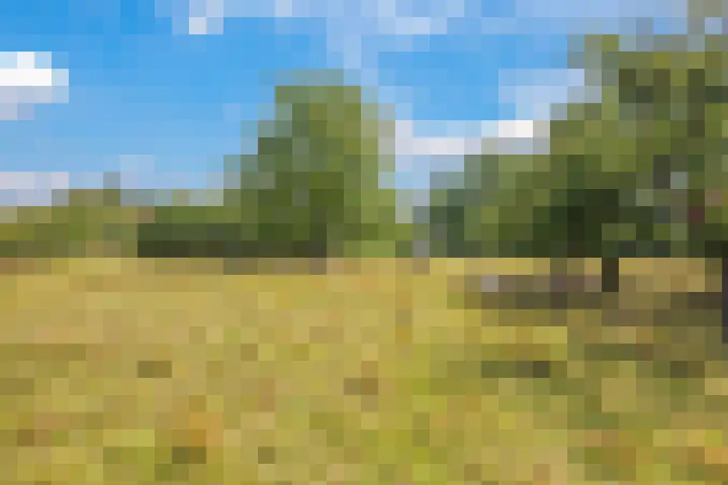 Groenestraat 3 Gendt thumbnail 36