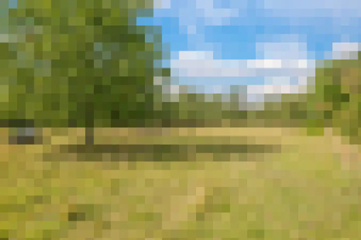 Groenestraat 3 Gendt thumbnail 37
