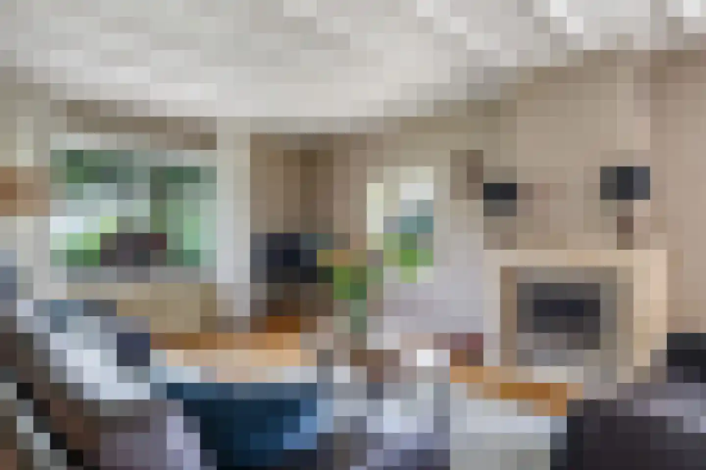 Groenestraat 3 Gendt thumbnail 49