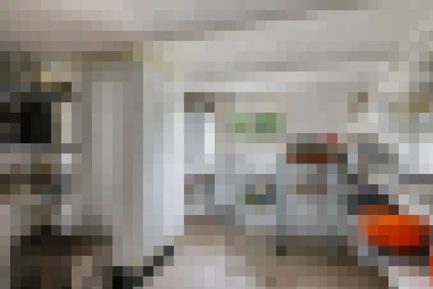 Groenestraat 3 Gendt thumbnail 56