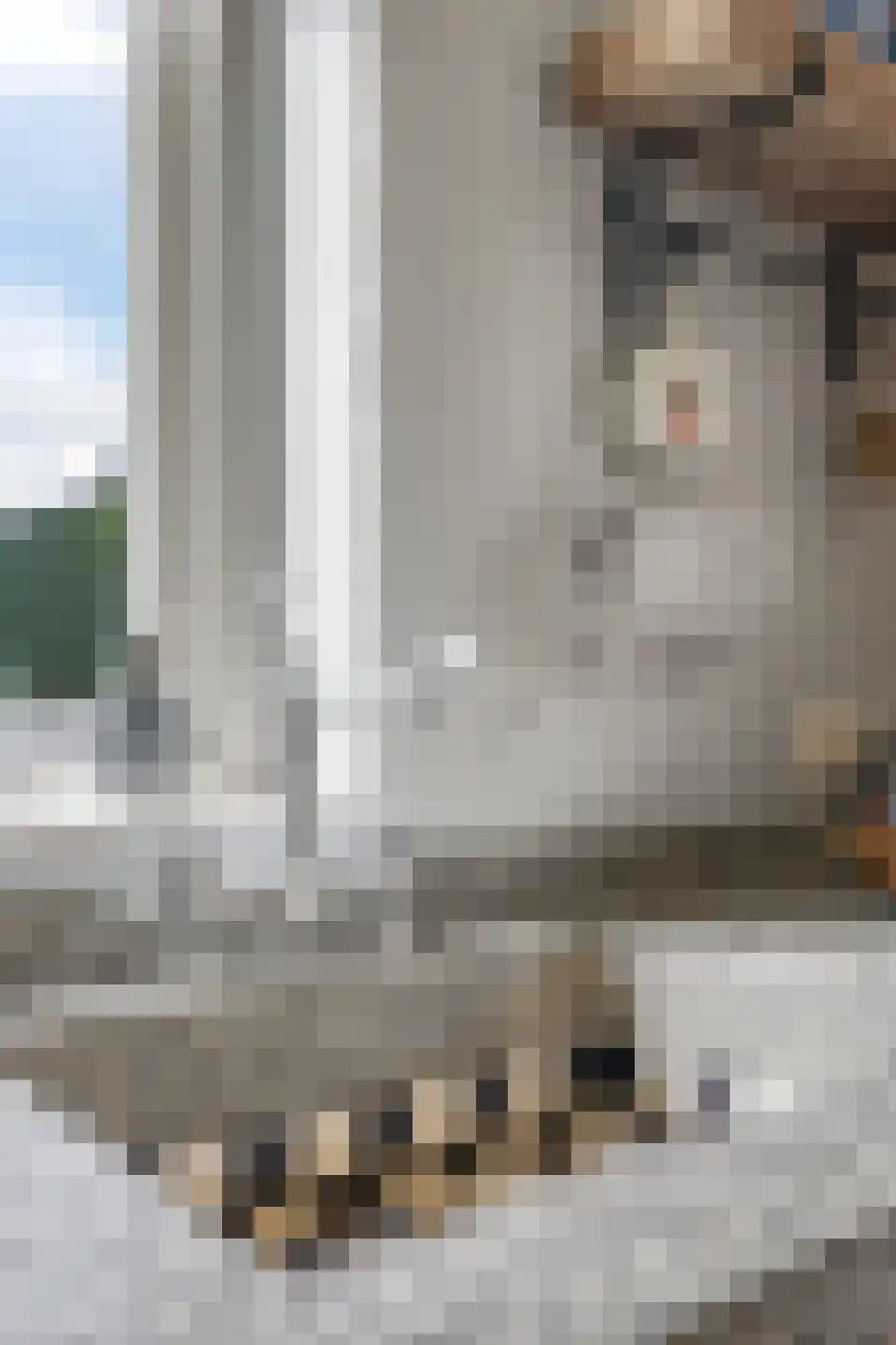 Groenestraat 3 Gendt thumbnail 68