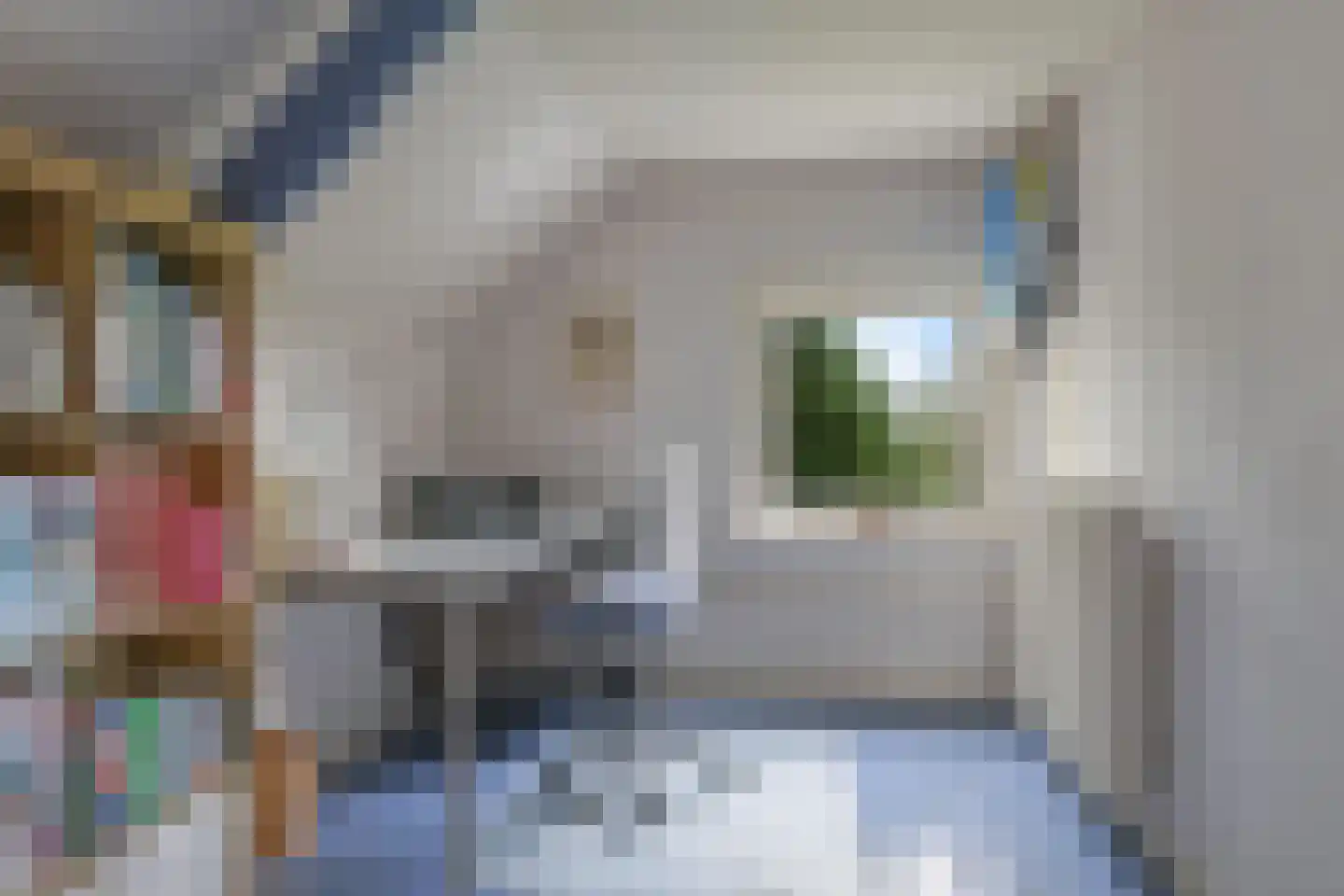 Groenestraat 3 Gendt thumbnail 79