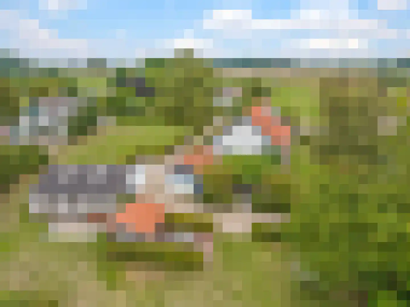 Groenestraat 3 Gendt thumbnail 8