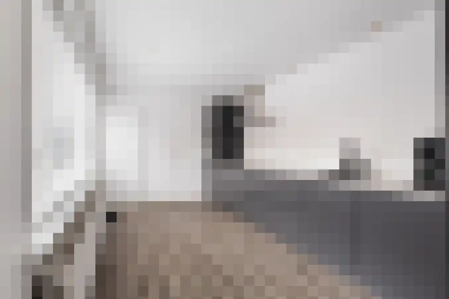 Groenestraat 32 Nijkerk thumbnail 10