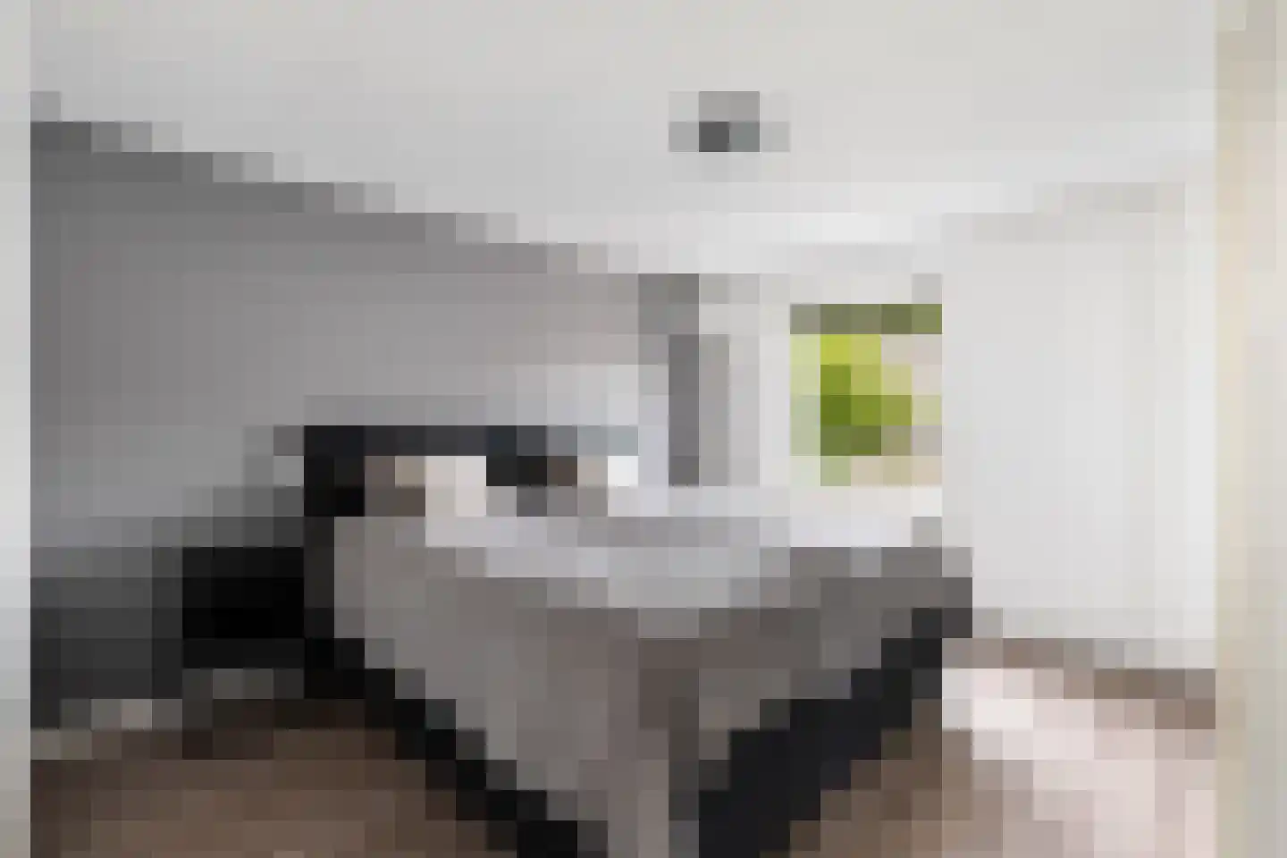 Groenestraat 32 Nijkerk thumbnail 16