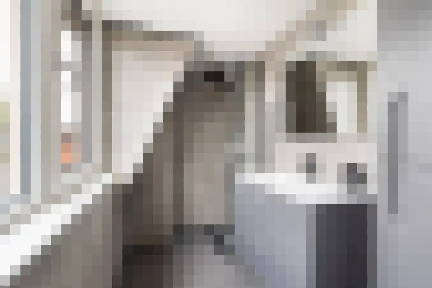 Groenestraat 32 Nijkerk thumbnail 18