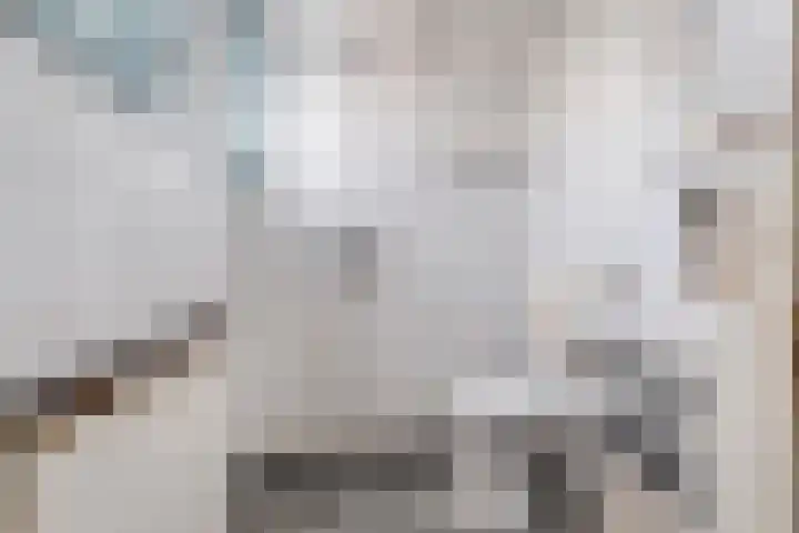 Groenestraat 33 Zwolle thumbnail 33