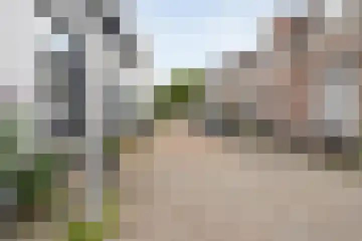 Groenestraat 33 Zwolle thumbnail 4