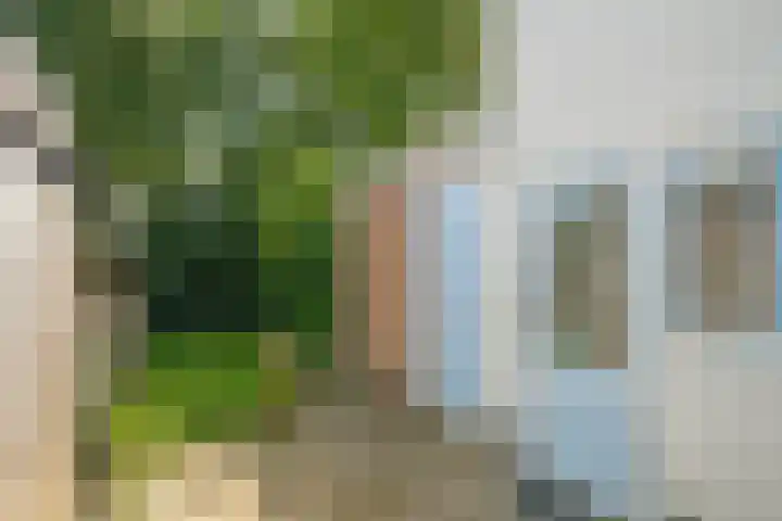 Groenestraat 33 Zwolle thumbnail 47