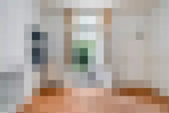 Groenestraat 33 Zwolle thumbnail 8