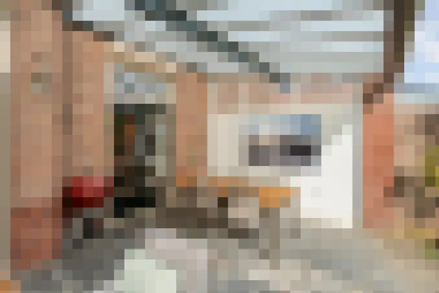 Groenestraat 37 Nijmegen thumbnail 32