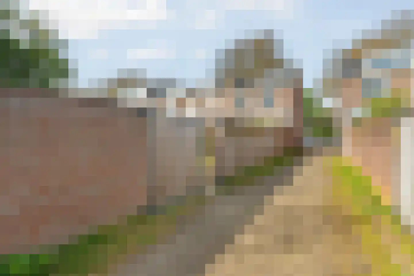 Groenestraat 37 Nijmegen thumbnail 38