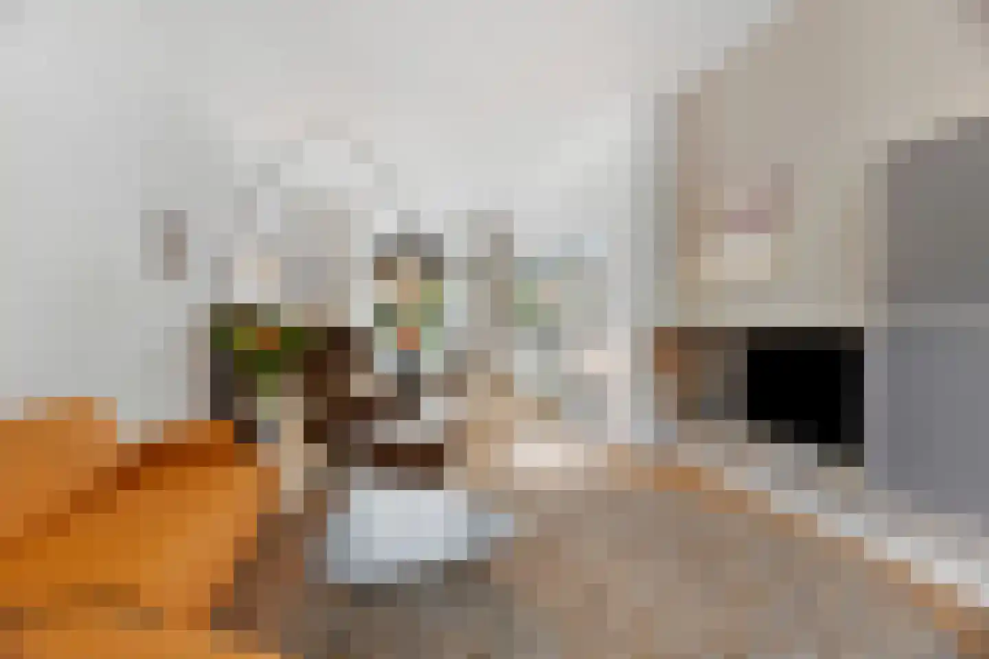 Groenestraat 37 Nijmegen thumbnail 6