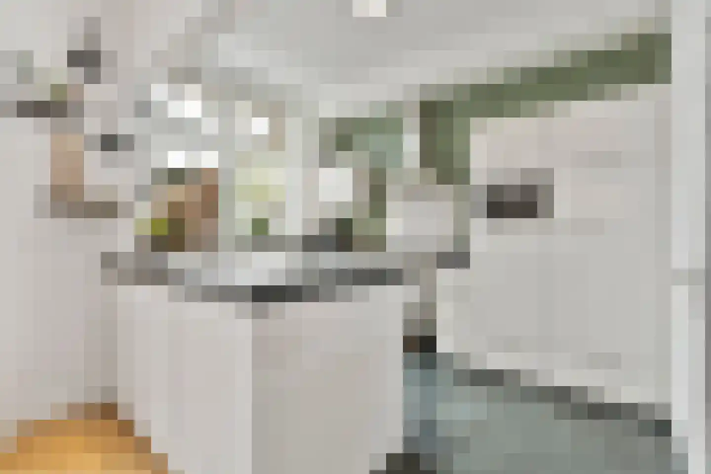 Groenestraat 37 Nijmegen thumbnail 9