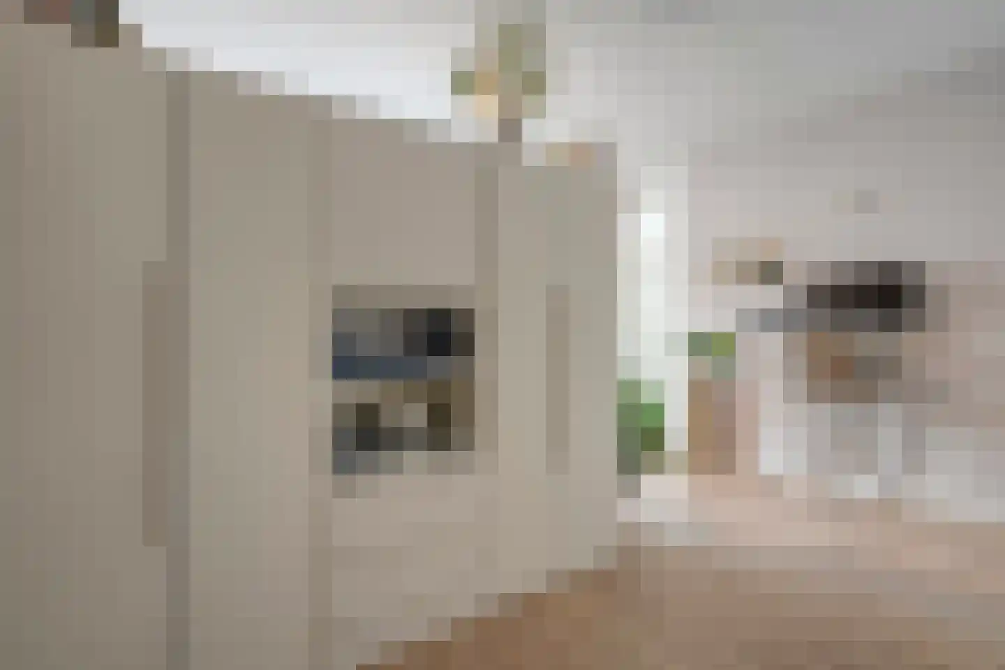 Groenestraat 39 F Kampen thumbnail 17