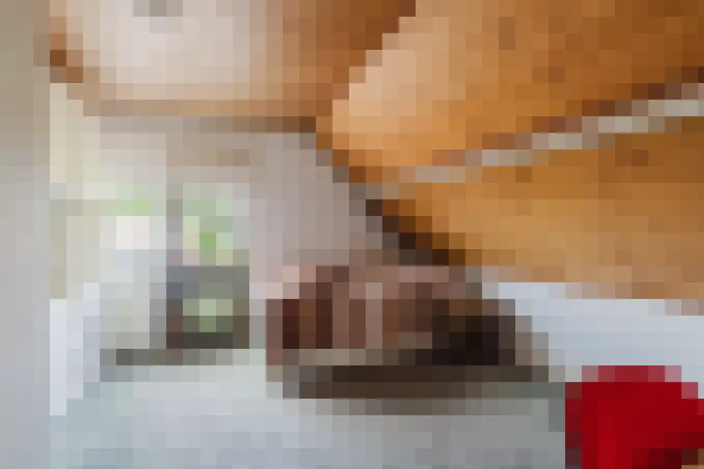Groenestraat 4 Achtmaal thumbnail 16