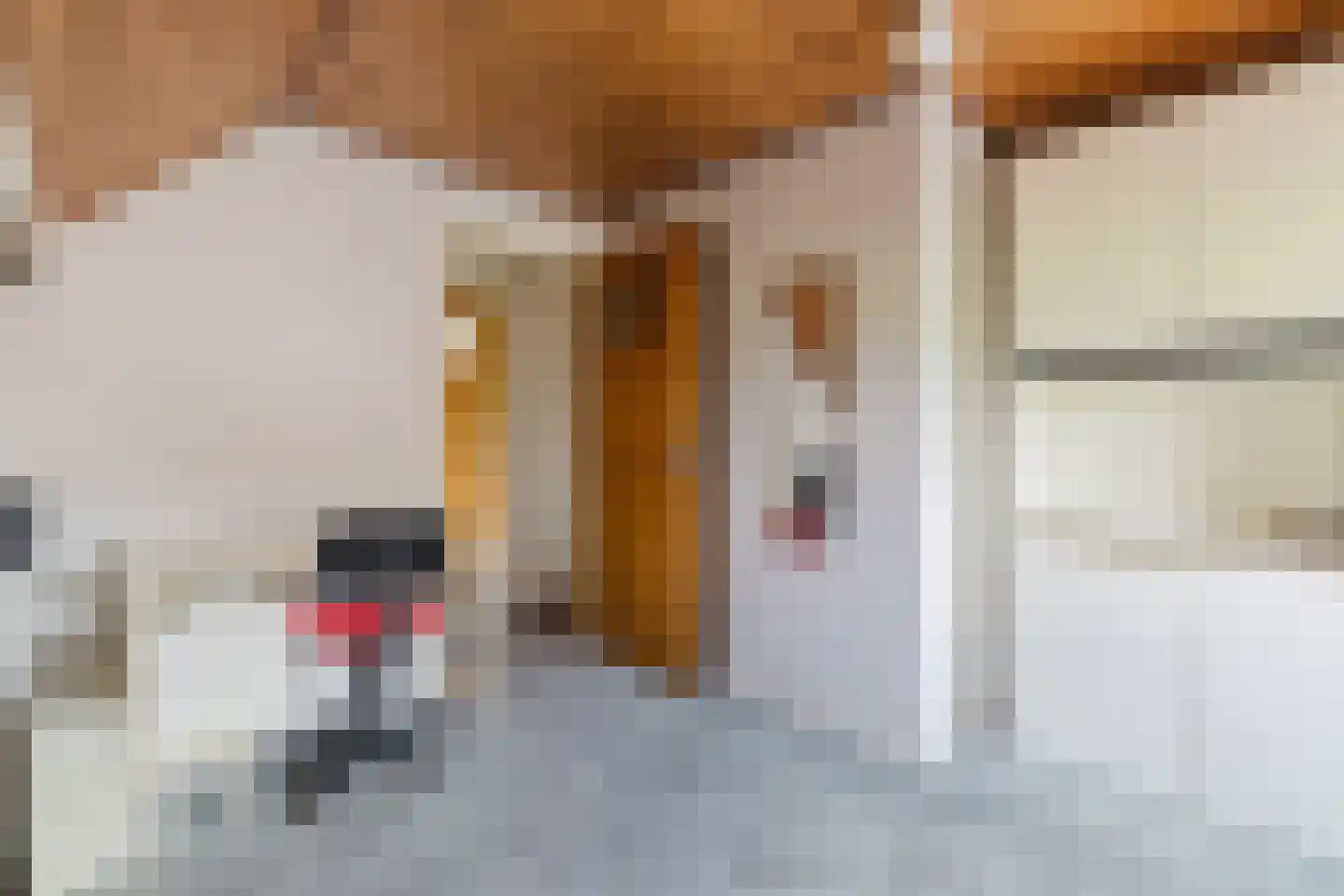 Groenestraat 4 Achtmaal thumbnail 17