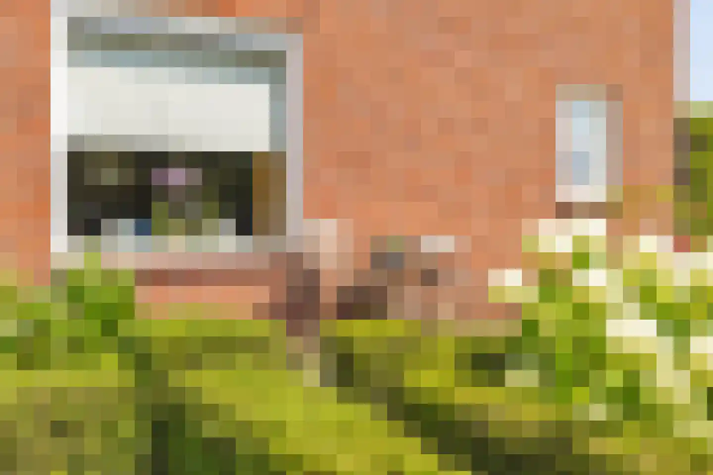 Groenestraat 4 Achtmaal thumbnail 24