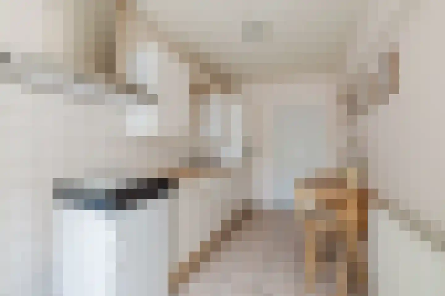 Groenestraat 4 Achtmaal thumbnail 30