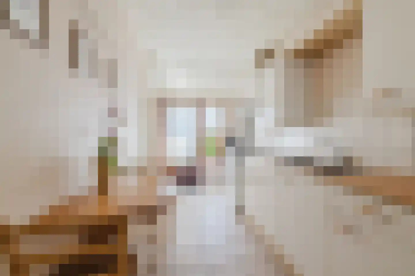 Groenestraat 4 Achtmaal thumbnail 31
