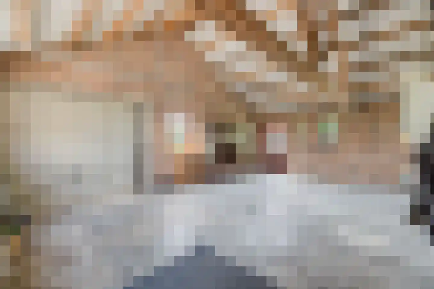 Groenestraat 4 Achtmaal thumbnail 39