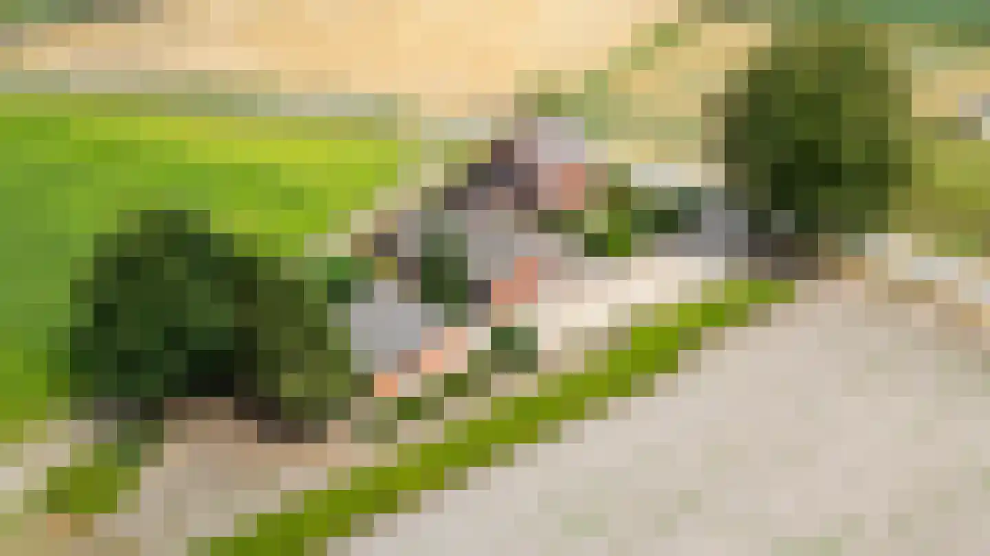 Groenestraat 4 Achtmaal thumbnail 6