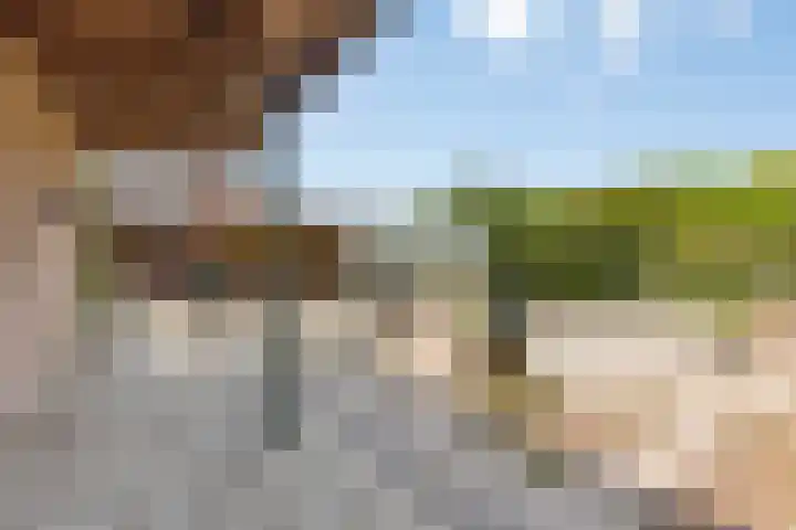 Groenestraat 4 Hurwenen thumbnail 25