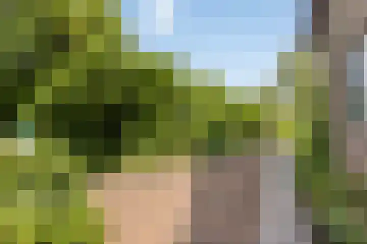 Groenestraat 4 Hurwenen thumbnail 26