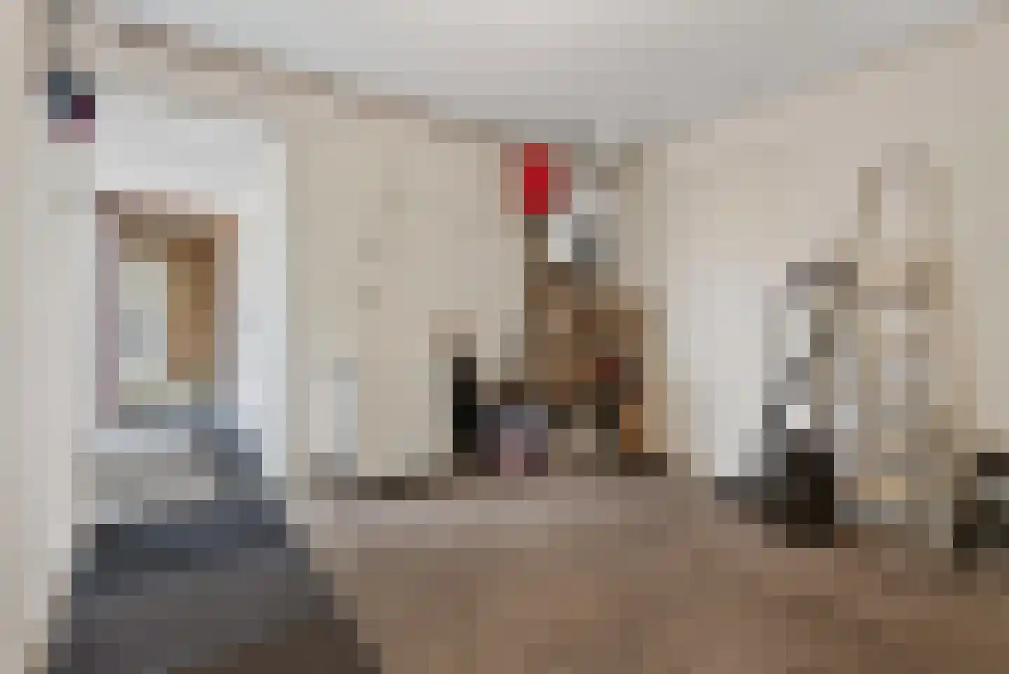 Groenestraat 4 Lathum thumbnail 21