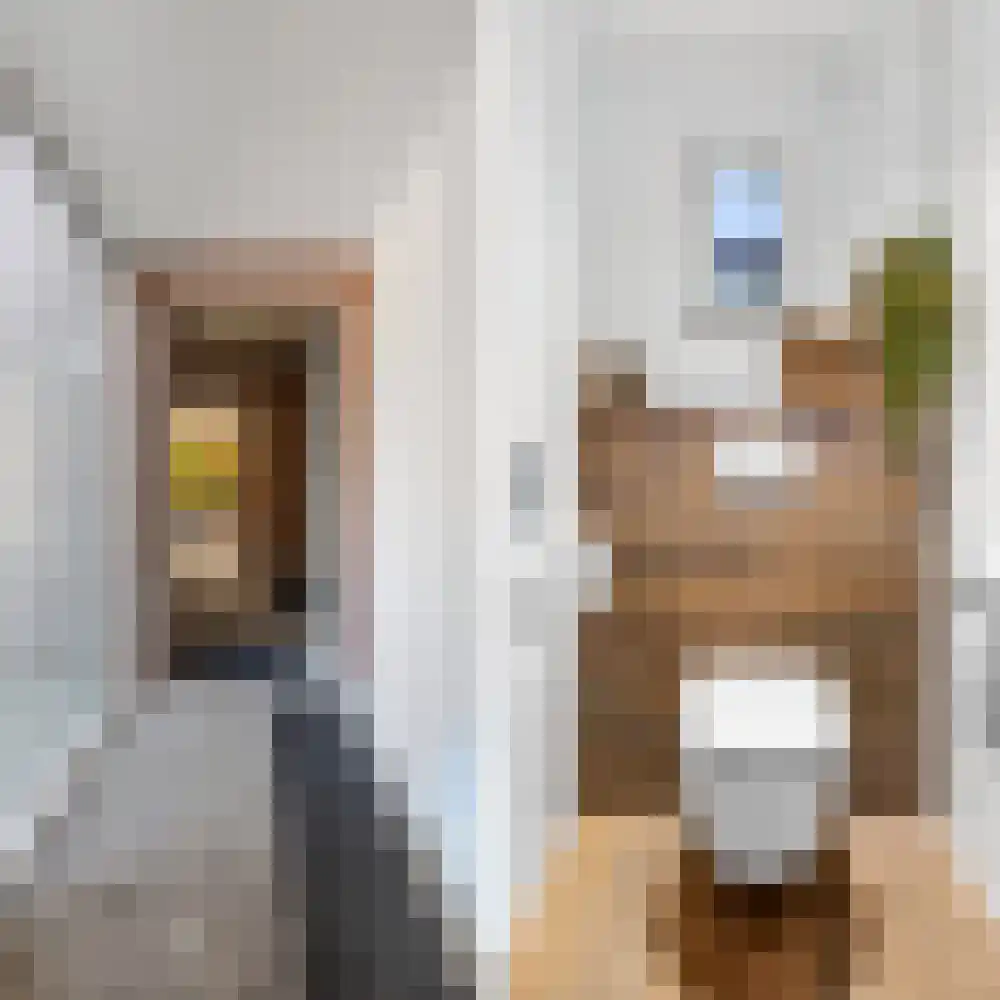 Groenestraat 4 Lathum thumbnail 23