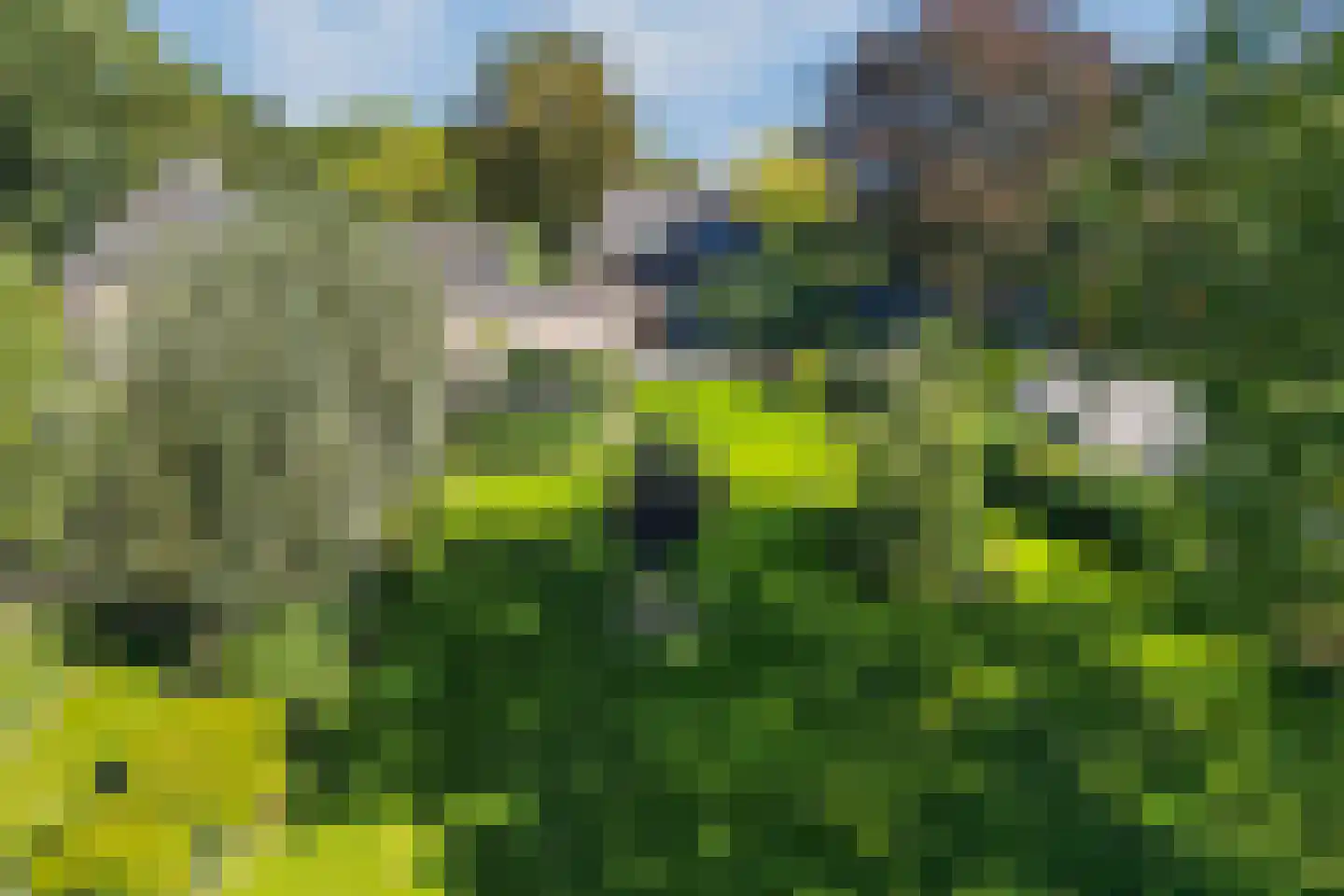 Groenestraat 4 Lathum thumbnail 4
